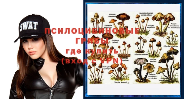 МДМА Каменка