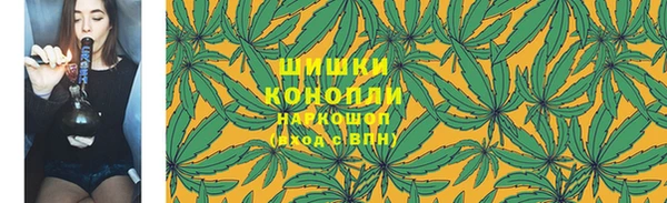 мдпв Инсар