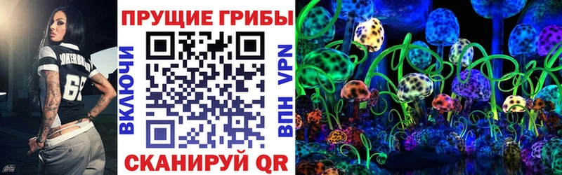 магазин продажи наркотиков  Кизилюрт  Псилоцибиновые грибы мицелий 