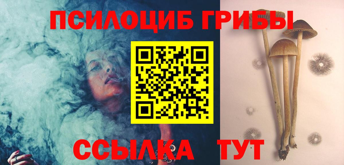 Галлюциногенные грибы мицелий Кизилюрт