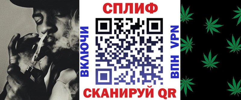 где можно купить   Кизилюрт  Марихуана сатива 